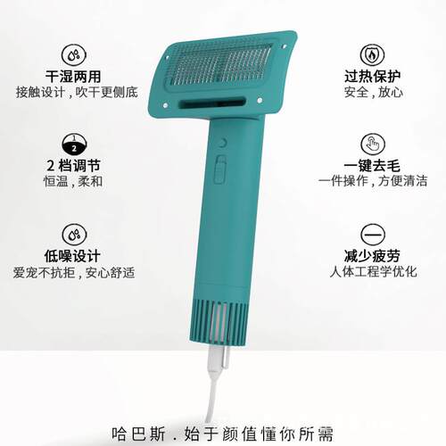 现货宠物吹风机猫狗吹风梳猫咪吹水梳毛烘干机泰迪狗狗梳子吹毛器