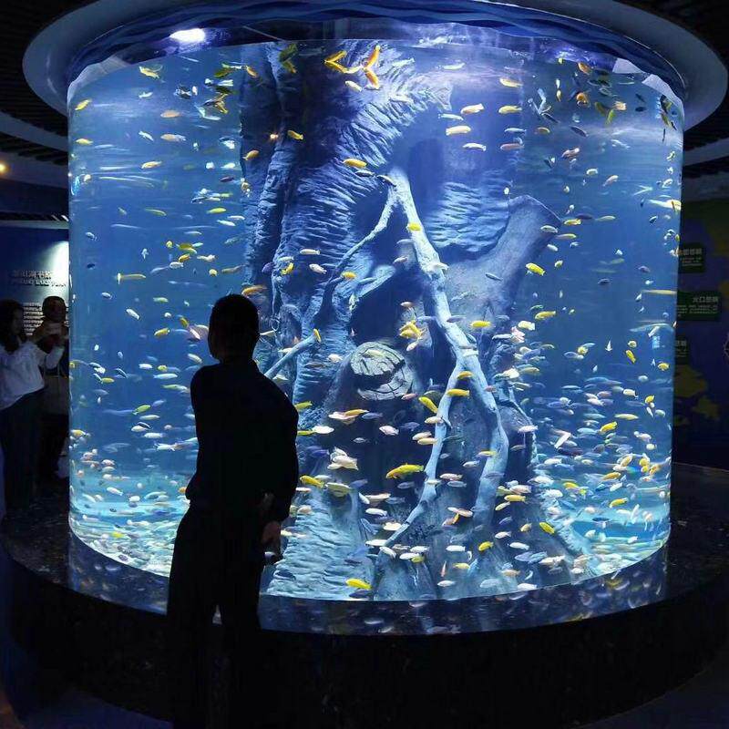 大型圆柱形水族箱生态鱼缸异形鱼缸水族海洋馆造景海底隧道工程