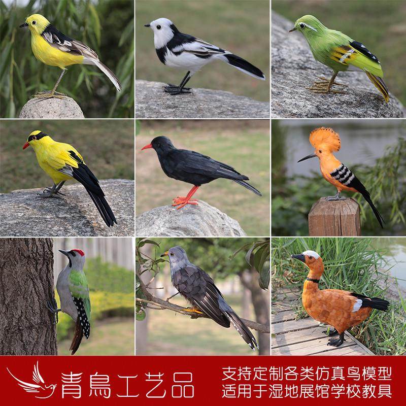 仿真鸟类模型湿地展馆学校教具定制杜鹃黑枕黄鹂鹡鸰家燕遗鸥麻鸭,家居饰品,装饰摆件,淘宝优惠券,粉丝福利购,淘宝优惠卷