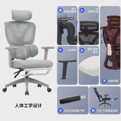 人体工学椅家用转椅办公室椅子椅电脑椅护腰舒适久坐老板椅电竞椅