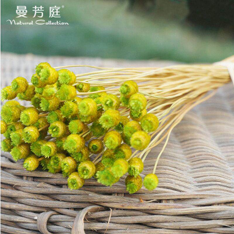 快乐花巴西小干花植物干花批发插花花艺手工diy花拍照道具材