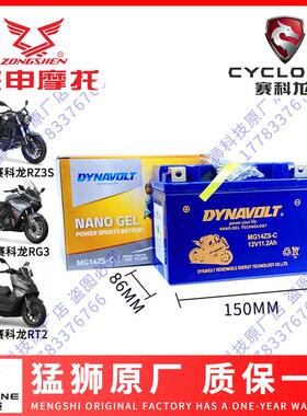 赛科龙RX1 RX1S RA2 RT2 RX4 RZ3S RG3 RE3 RT3 RC401 RX500电瓶