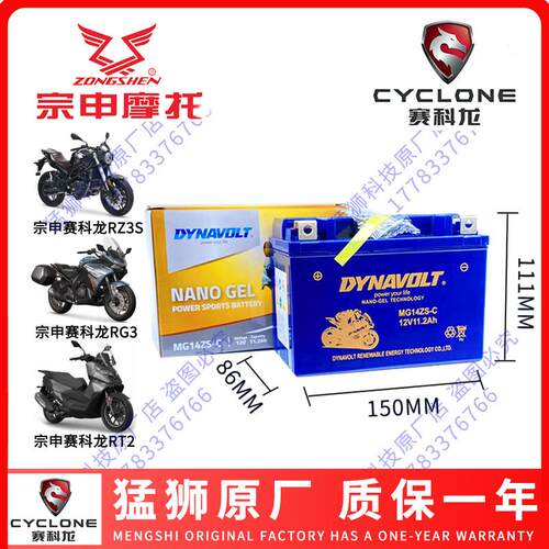 赛科龙RX1 RX1S RA2 RT2 RX4 RZ3S RG3 RE3 RT3 RC401 RX500电瓶