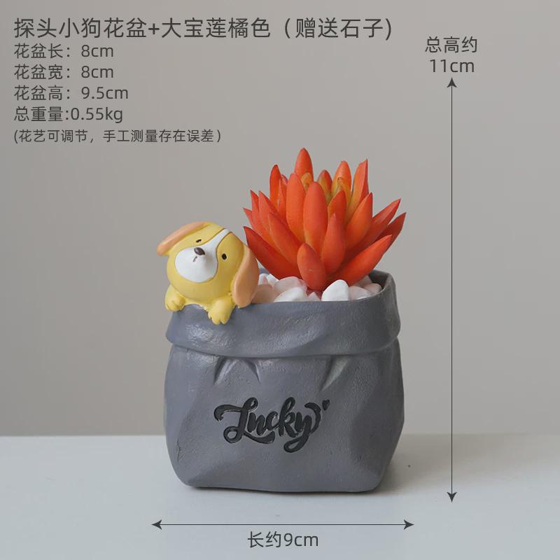 仿真绿色植物多肉花盆装饰品可爱仙人掌盆栽小摆件ins风假花摆设