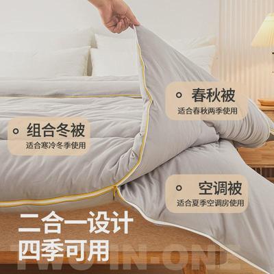 新款桑蚕丝蛋白二合一子母被拉链款四季通用加厚被芯冬被春秋被
