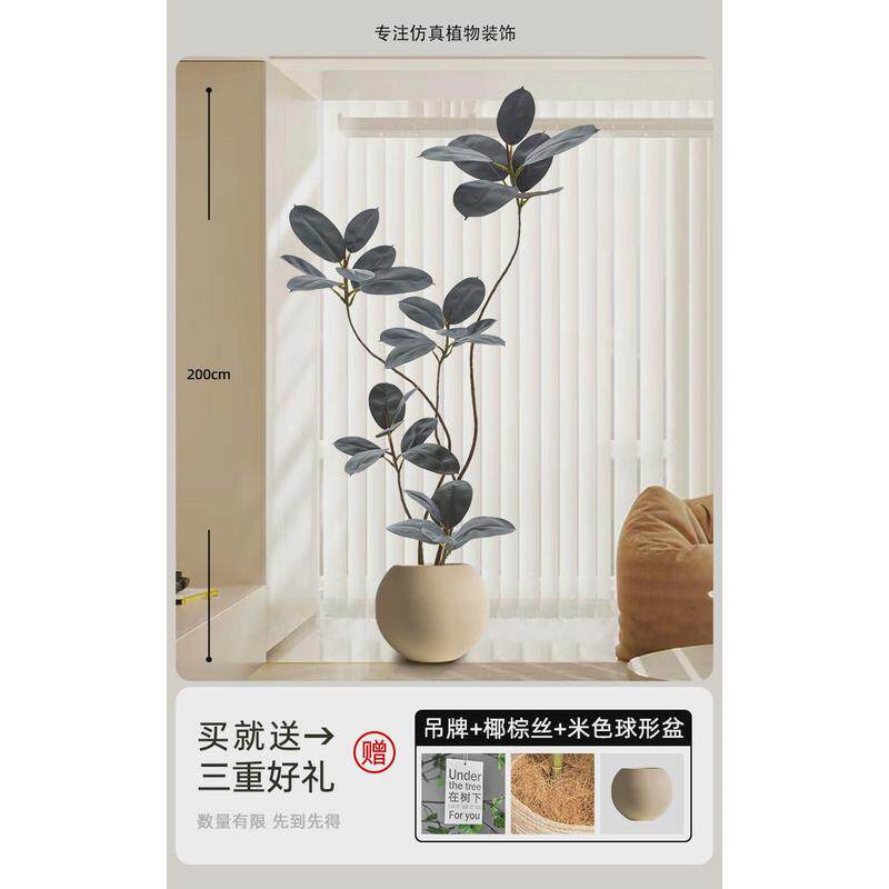 c!大型客厅落地摆件黑金刚沙发电视柜旁边假植物室内橡皮树仿真