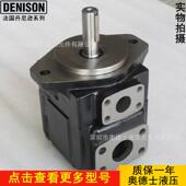 b1逊逊叶片泵 1r00 丹尼丹尼液压油泵t6d 024