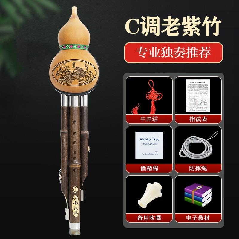 紫竹葫芦丝c调小学生用专业演奏型儿童降b调初学者防摔乐器芦丝胡