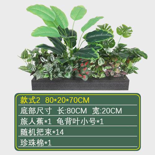 小型仿真植物景观蕨类把束植物手感假花室内景观角落橱窗造景装饰