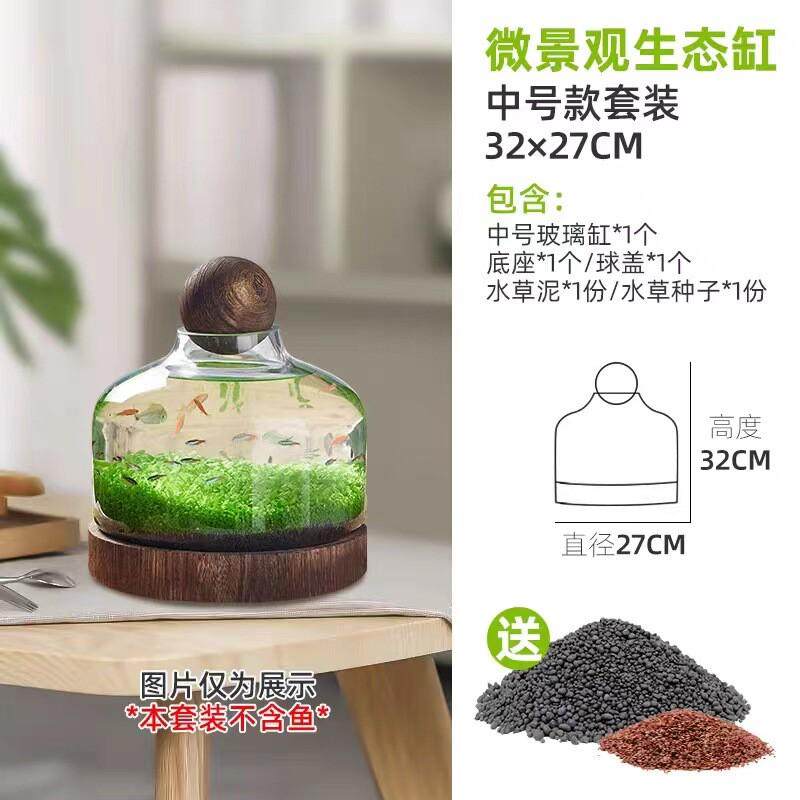 微景观生态瓶玻璃鱼缸创意diy造景鱼虾桌面日式木托水草缸办公室,宠物/宠物食品及用品,桌面缸,淘宝优惠券,粉丝福利购,淘宝优惠卷