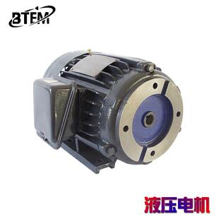 浙江葆特叶片泵液压站油泵马达vp20三相电机0.75kw1.5kw2.2kw
