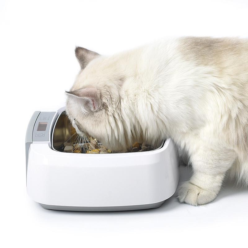 碗智能保温碗加热猫碗喝水碗狗盆宠物恒温猫咪狗碗狗狗食盆喂食碗