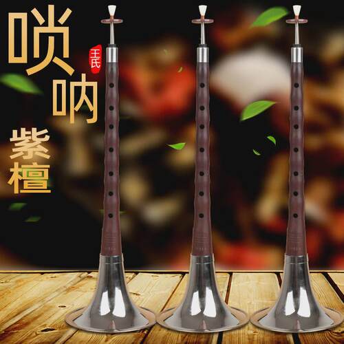王氏演奏级紫檀唢呐cdefg调唢呐乐器全套初学者大小号唢呐