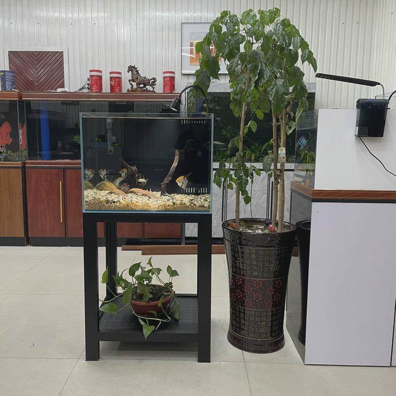 小型金鱼缸溪流免换水客厅落地家用屏风生态缸水族箱超白玻璃鱼缸,宠物/宠物食品及用品,桌面缸,淘宝优惠券,粉丝福利购,淘宝优惠卷