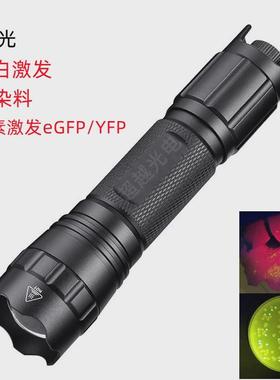 可调光 荧光蛋白激发光源 观察DAPI CFP GFP YFP RFP 配观察眼镜