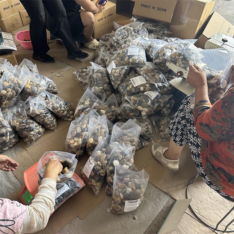 黑色雨花石园林造景鹅卵石工程黑色景观铺路石子五彩抛光鹅卵石