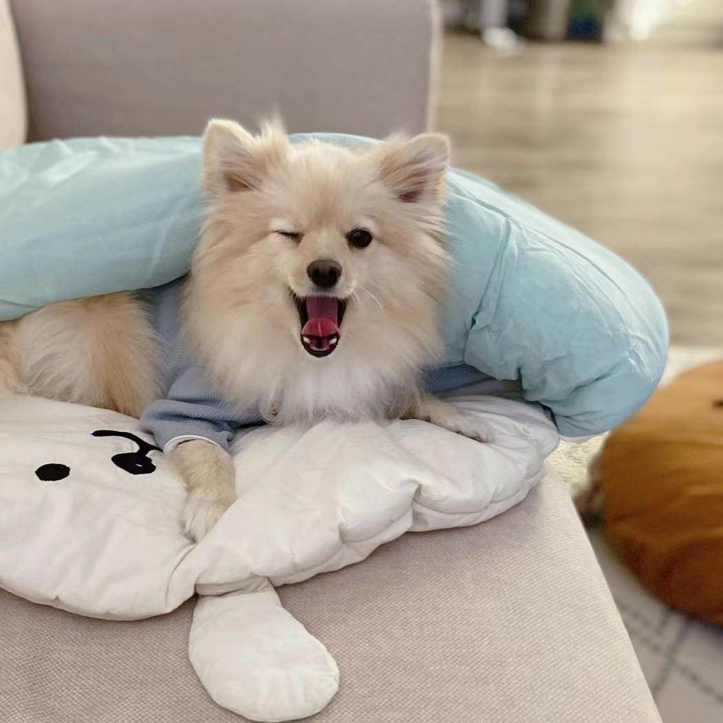 现货ins夏季新款宠物凉天丝睡袋推车垫子窝感冰丝冰爽垫子空调被