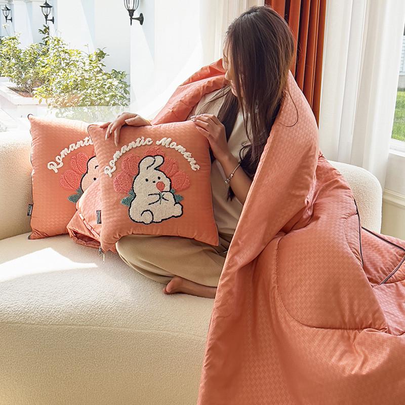 提花毛巾绣四季款抱枕被子两用靠垫被沙发办公室车用靠枕午休卡通