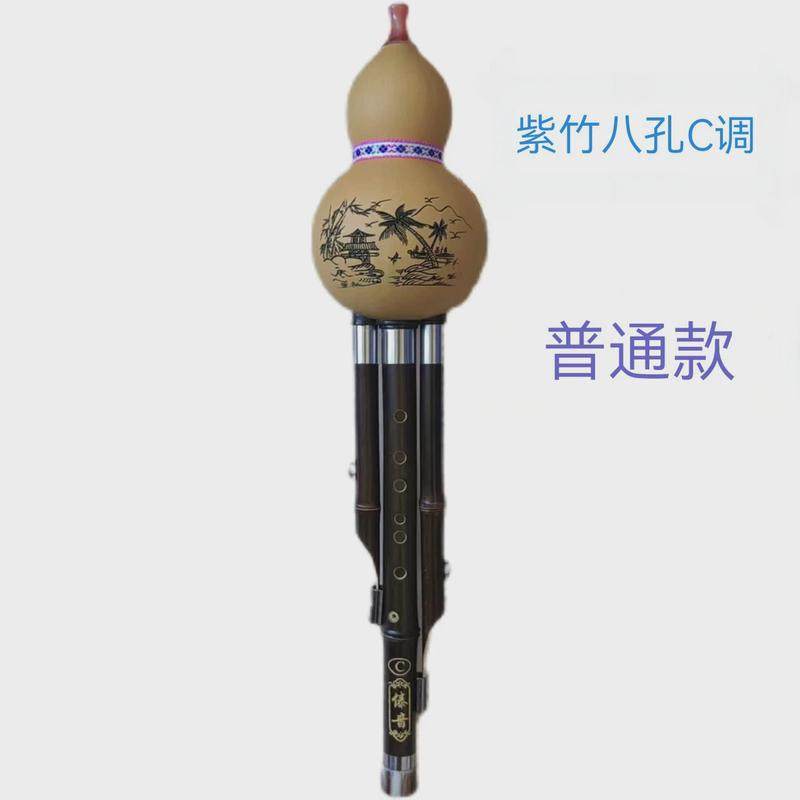 葫芦丝专业演奏乐器8孔c调成人楠竹七孔紫竹学生降bgfd学习傣音