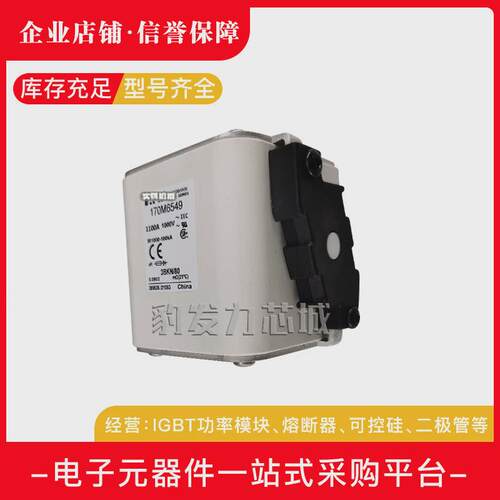 170m6593170m6594170m6595/6596/6597/6598/6599全新熔断器现货