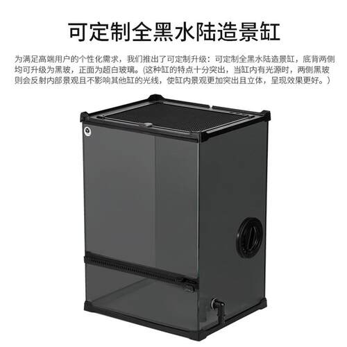 热销热带雨林爬宠生态缸微景观苔藓植物景观缸黑玻水陆裸缸桌面缸