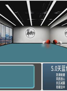 舞蹈房地胶地板舞台教室防滑耐磨防水商用PVC运动地板胶地垫厂家