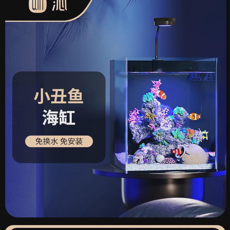 一体式鱼缸超白玻璃鱼缸客厅家用生态中小型桌面小丑底滤水族箱