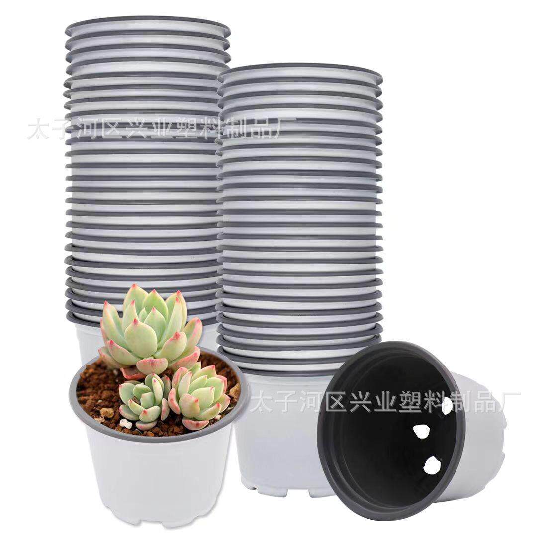 培育双色育苗盆pp彩色塑料花盆摔不坏简易加厚大号多肉白色育苗盆