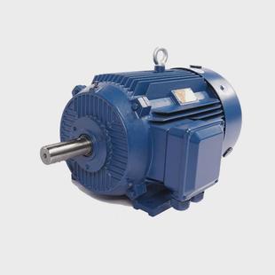 22kw皮带机立卧式 三相异步电机 180m 六安江淮电机一级能效ye5