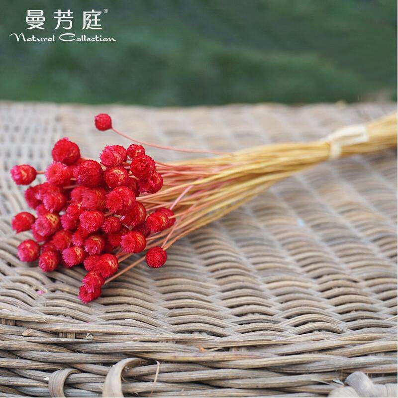 快乐花巴西小干花干花植物批发插花花艺手工diy花材拍照道具