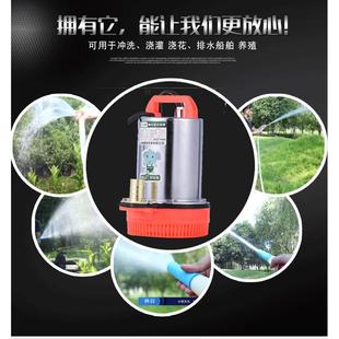 德涛直流12v直流微型潜水泵24v不锈钢船用泵60v48v通用家用抽水泵