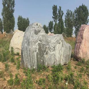 庭院枯斑驳黑山石天然假山黑山石公园景观石假山山水石草坪石材