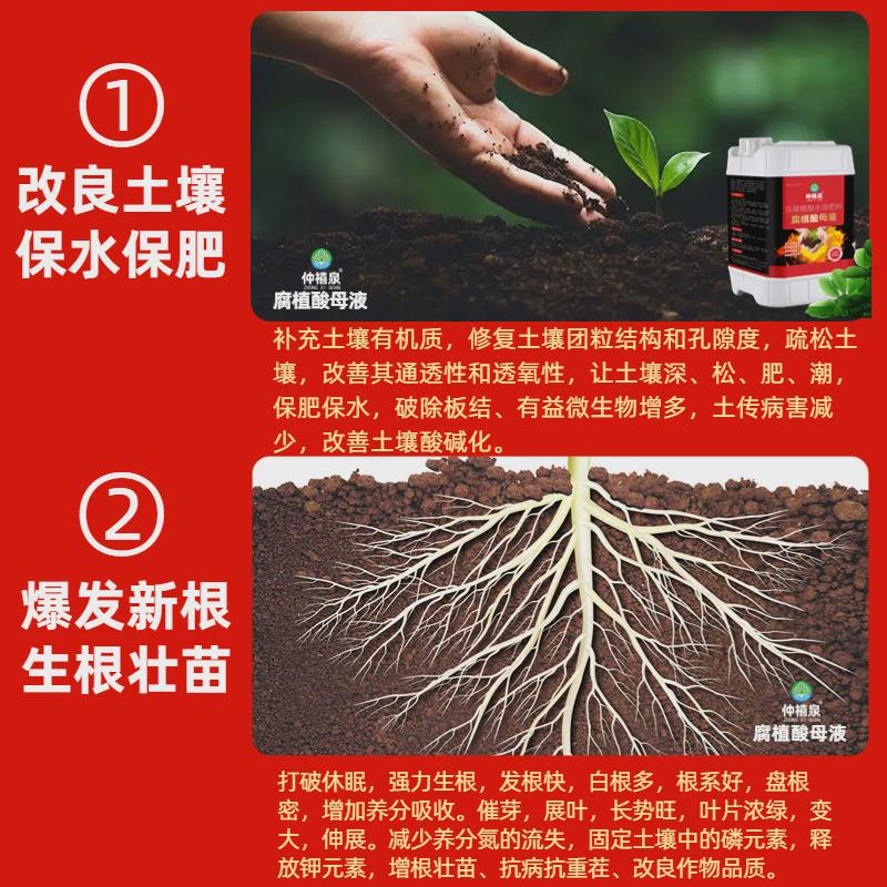 腐植酸水溶肥叶面冲施液体流体肥生根剂粉液黄壮苗土壤改良腐酸
