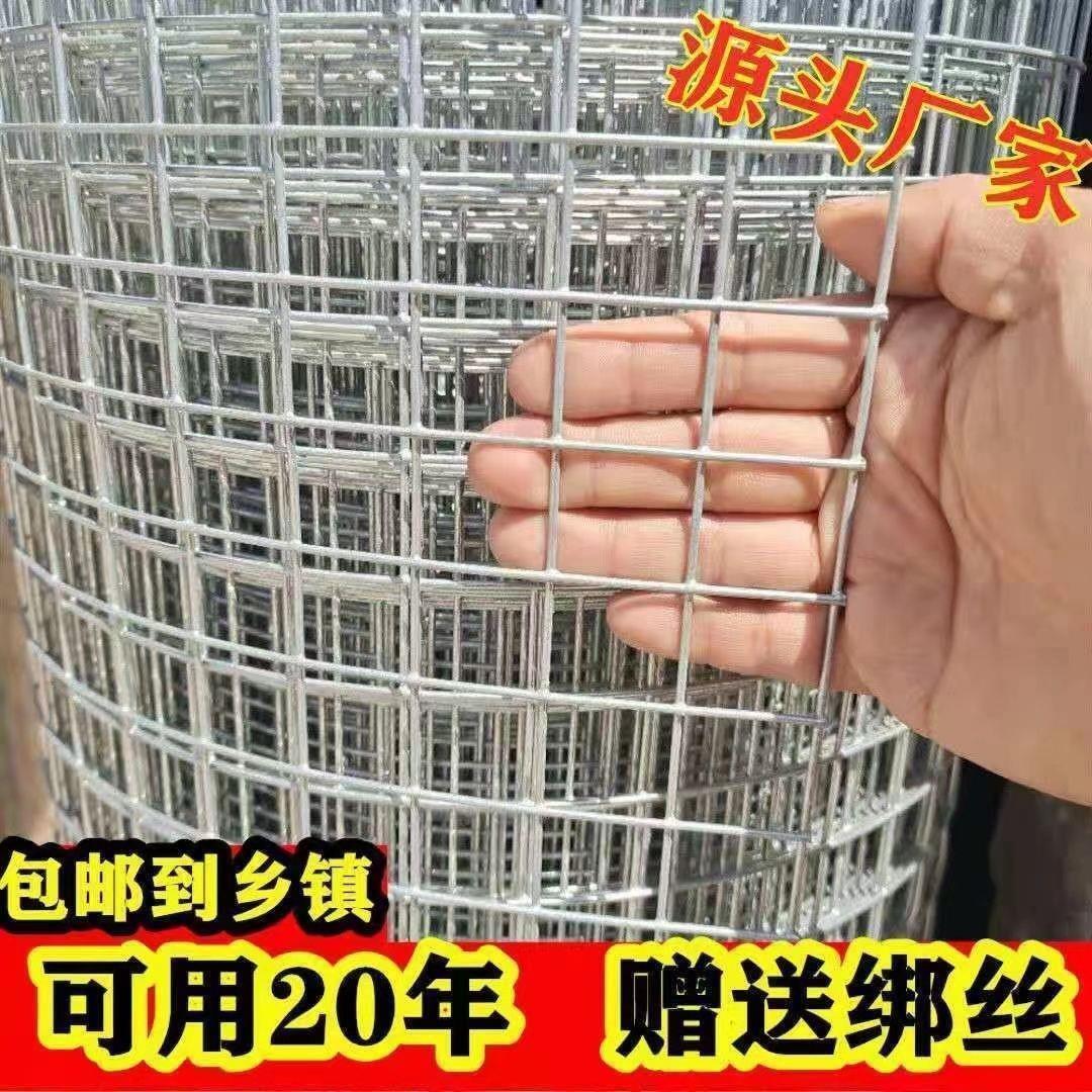 热镀锌铁丝网围栏网养殖网钢丝网拦鸡网建筑网防护网铁网格玉米网