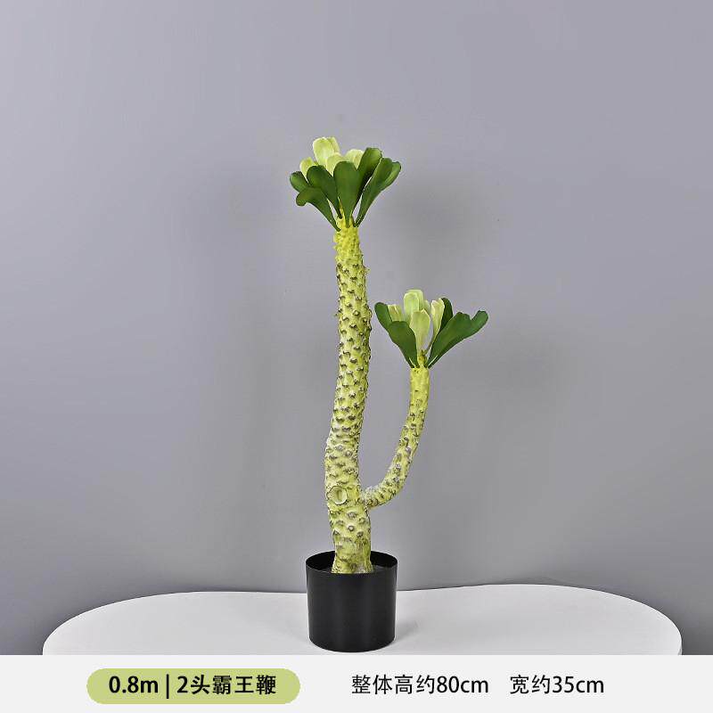 仿真霸王鞭绿植植物仙人掌沙漠造景沙生软装样板间商场橱窗霸王鞭