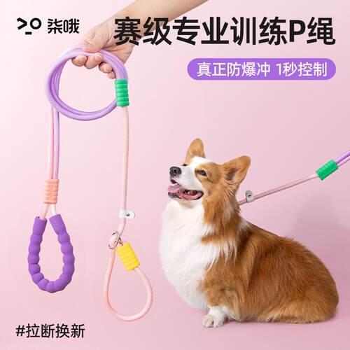 狗狗牵引绳防爆冲p绳中小型犬防挣脱链大型犬拴狗绳套脖遛狗用品