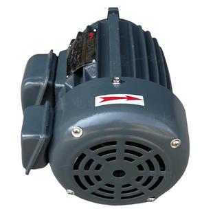 供三相力矩电动机ylj80 620公斤6级