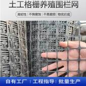 塑料网格养殖网圈玉米网土工格栅网养鸡围栏防护网加厚塑料围栏网