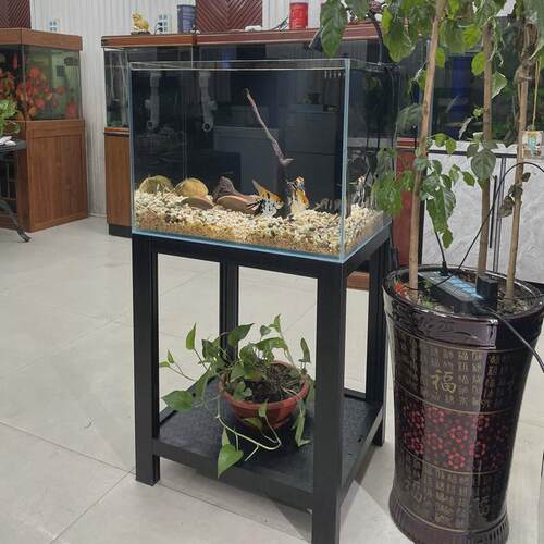 小型金鱼缸溪流缸客厅落地家用屏风生态免换水水族箱超白玻璃鱼缸