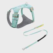 遛狗狗胸背牵引绳zooland幼小中大型犬泰迪柯基比熊边牧博美链子