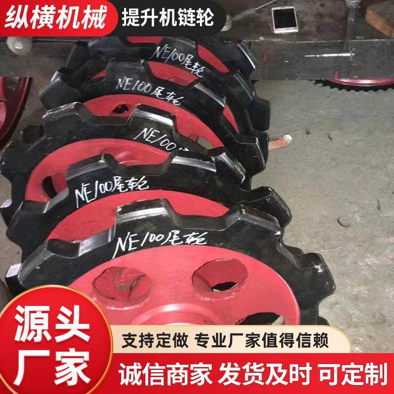 工业传动链轮提升机双节距链轮输送机械配件大节距提升机链轮