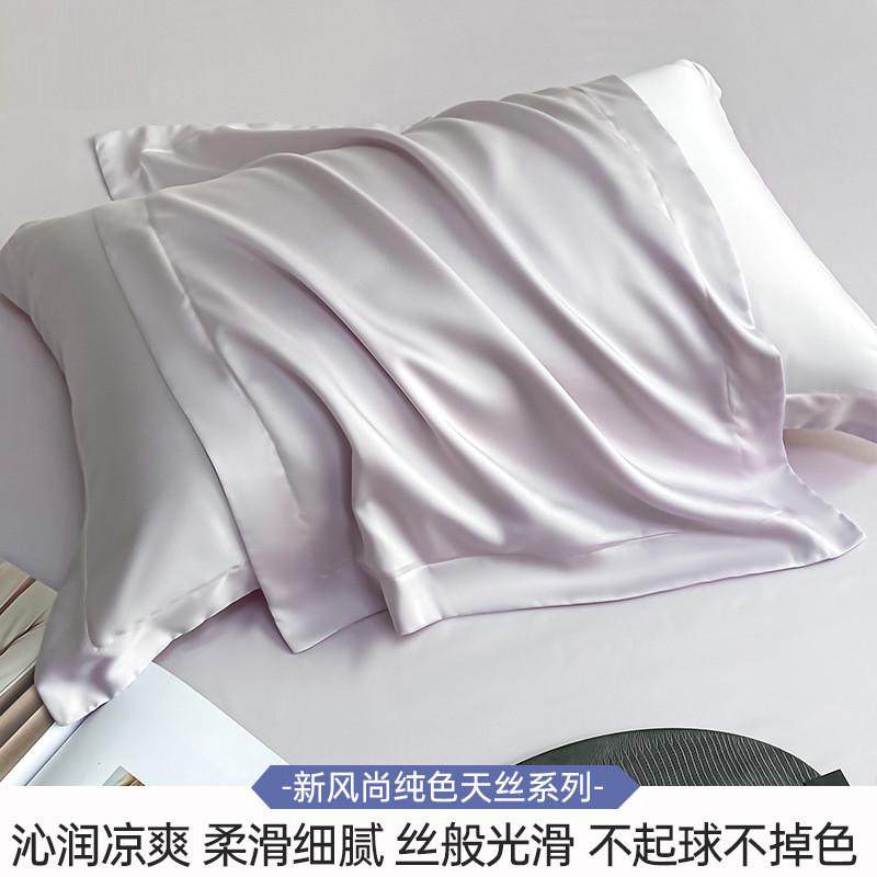天丝天丝单品枕套一对装轻奢高级感真新品枕头套柔软套夏季家用