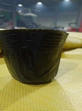 黑色专用普通塑料家庭园艺园林花卉营养钵育苗盆营养杯厂家