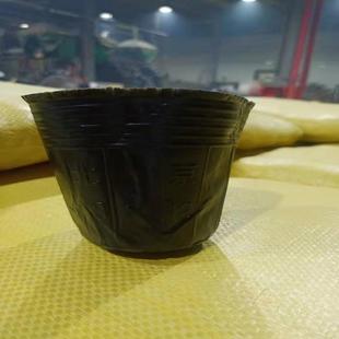 黑色营养钵普通塑料家庭园艺园林育苗盆专用花卉营养杯厂家