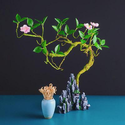 德国品质荔枝虾球餐具网红妃子笑红脆花粒装饰摆盘特色干冰火锅冒