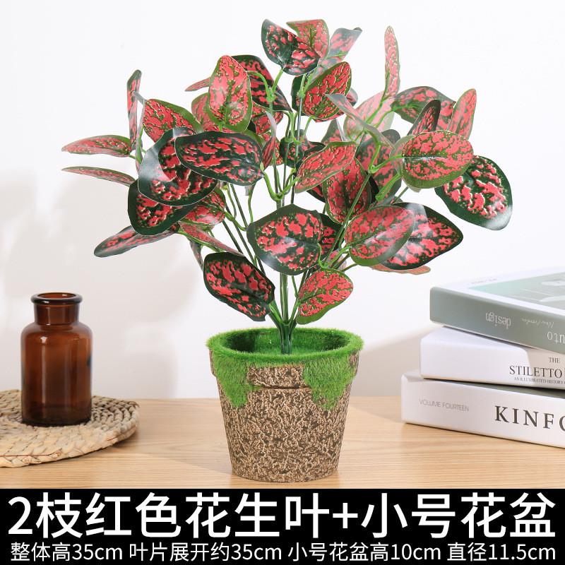 小盆栽仿真植物装饰绿萝叶龟背叶个性多肉假绿植家居室内桌面摆件