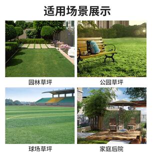 草坪增绿染草皮枯草剂绿剂草衣绿化植物染色着色剂一喷就绿不伤草