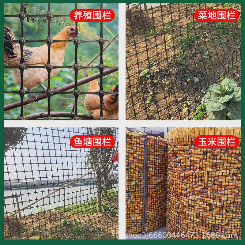 定制塑料网格防护网圈玉米网小孔养鸡鸭护栏网土工格栅养殖网隔离