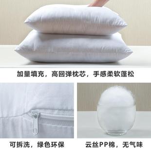 大抱枕客厅沙发家用床头靠背垫含芯靠枕靠垫中国风大号 热销新中式