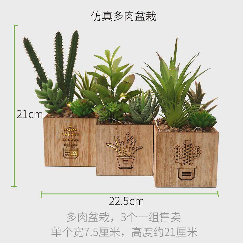 仿真多肉摆件植物小盆景仙人掌装饰绿植办公室迷你客厅假花仿真花